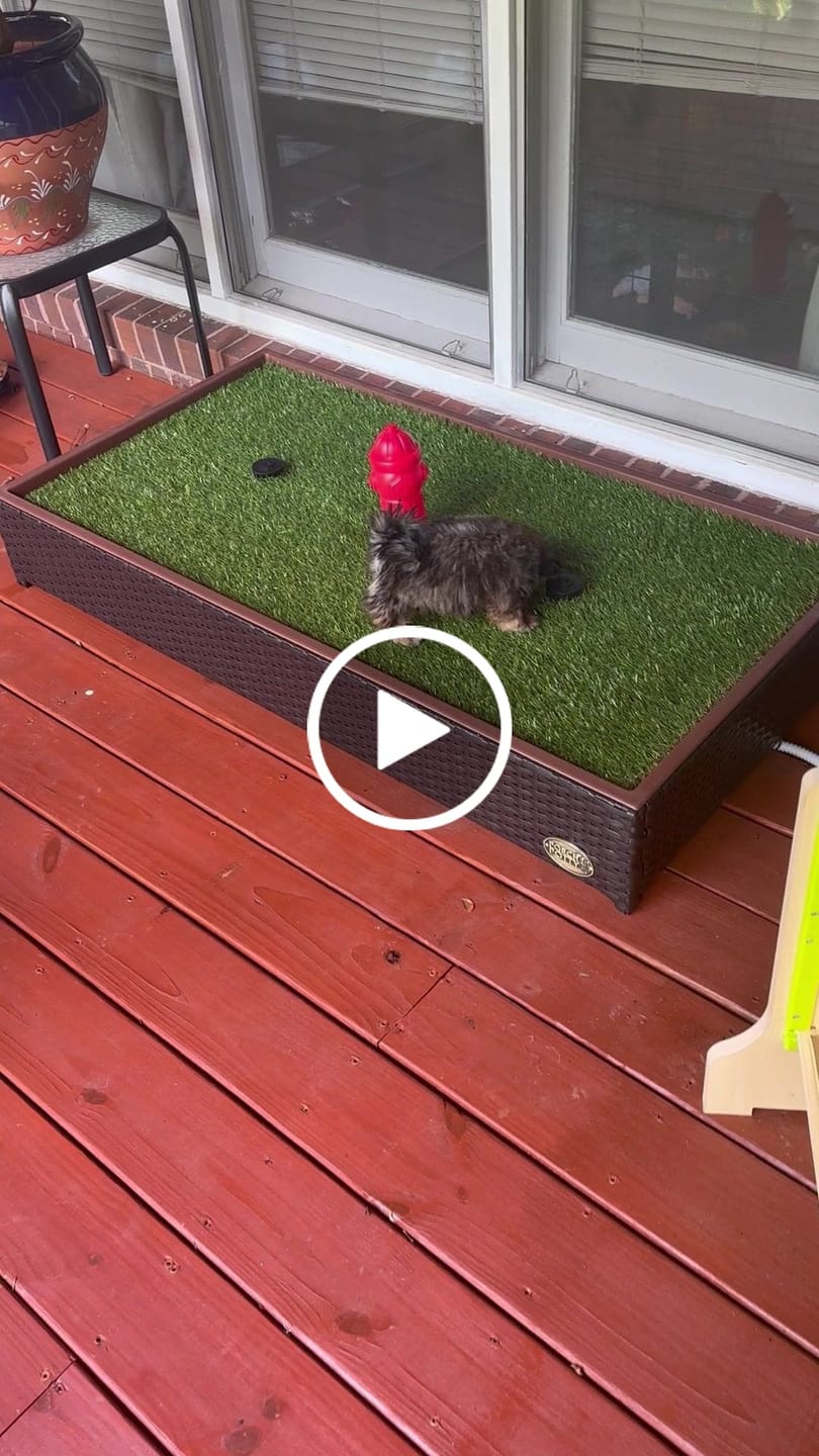 Customer video review of Porch Potty PREMIUM
