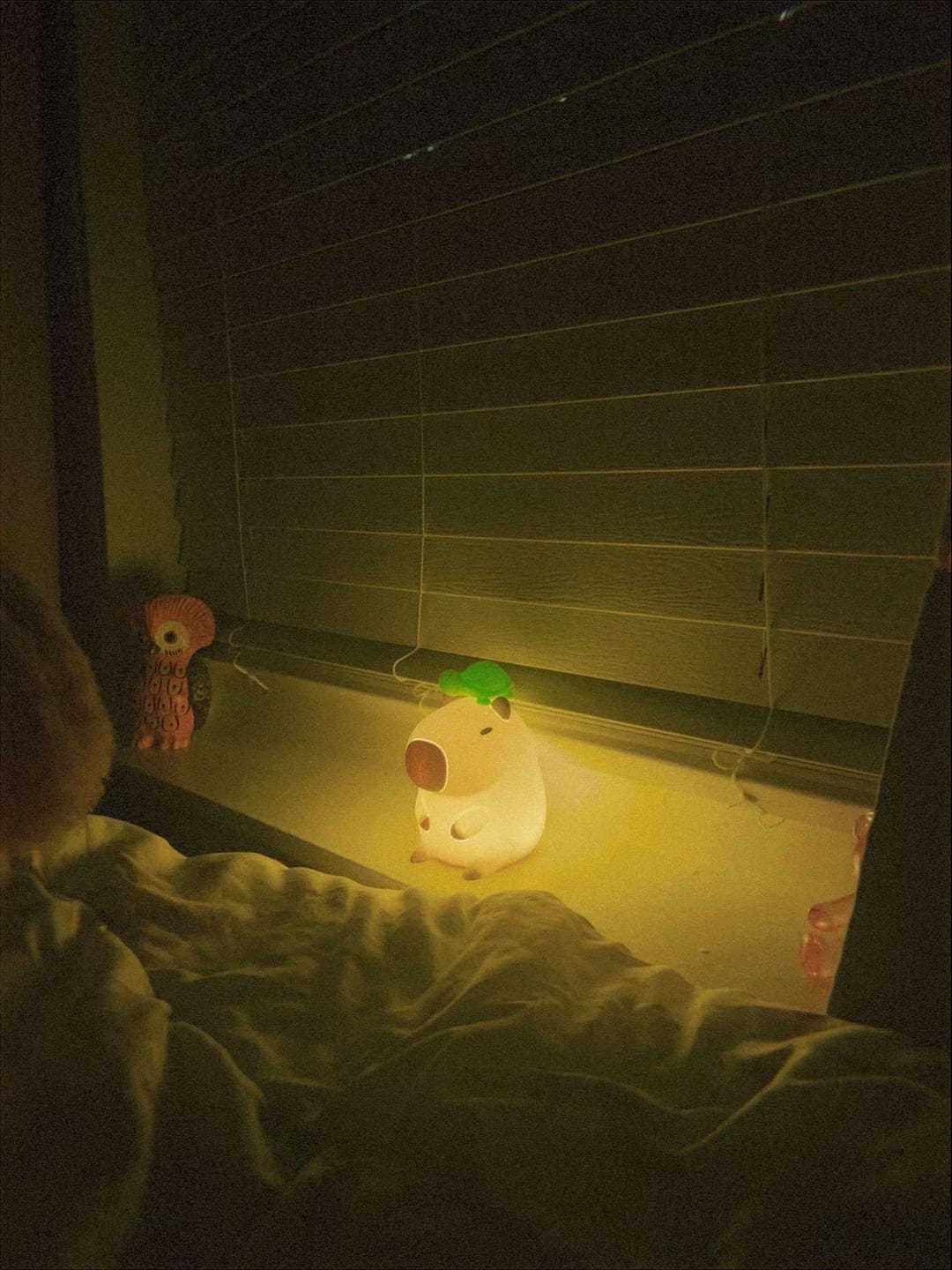 Customer photo review of MeWaii® Capybara Squishy Night Light - Perfect Gift 🎁