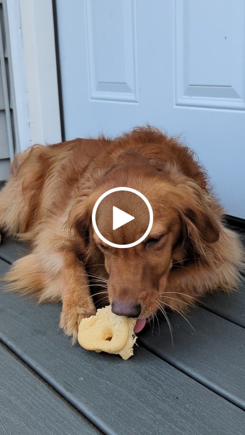 Customer video review of Smoked Pig Snouts