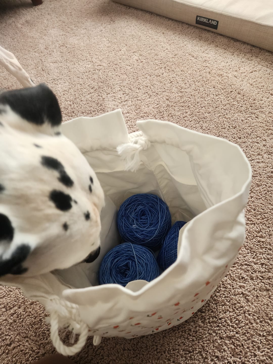 Customer photo review of Poppies Large Project Bag