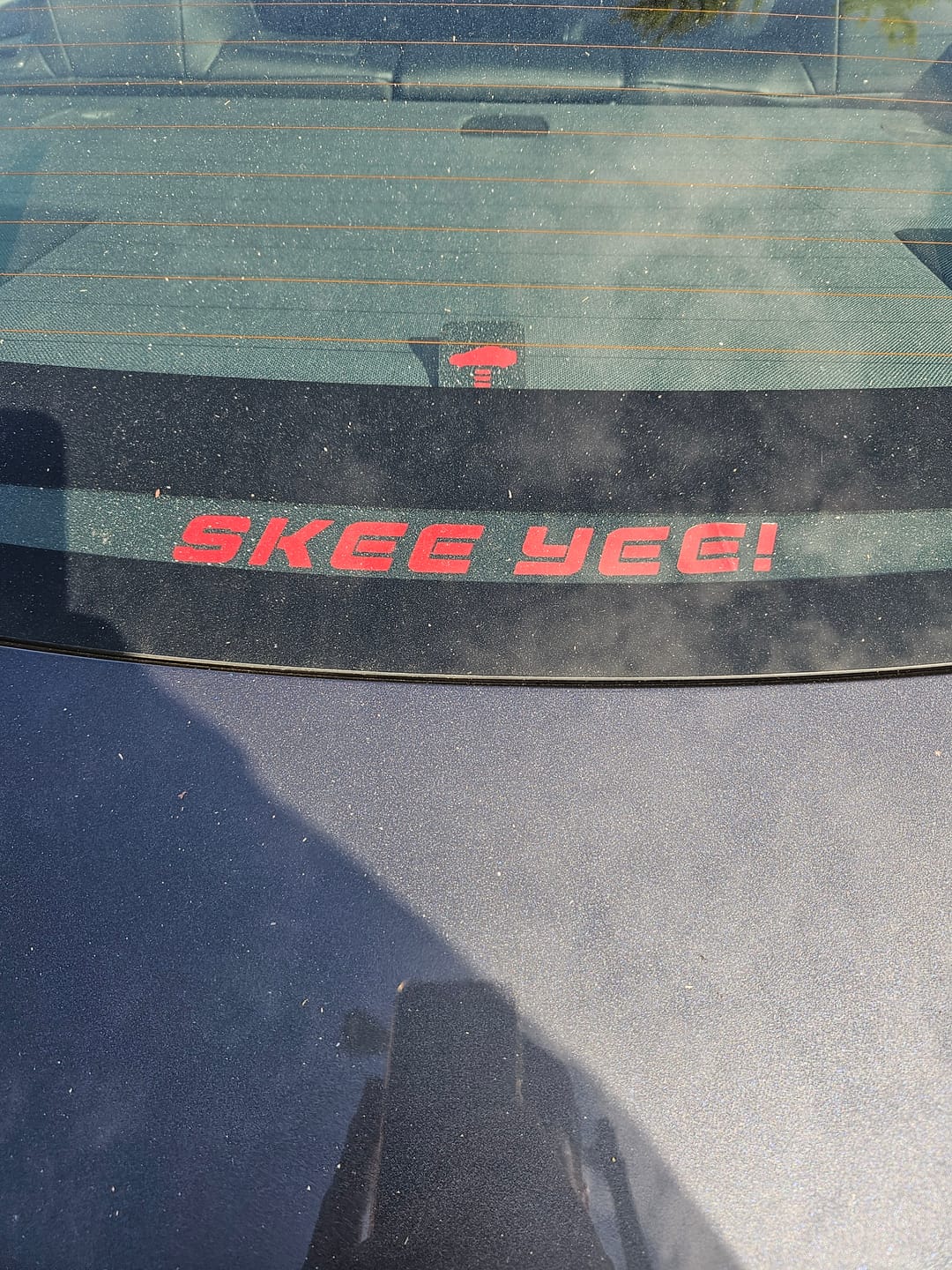 Customer photo review of Custom Rear Windscreen Brake Light Decals For Tesla Model 3 2017-2024