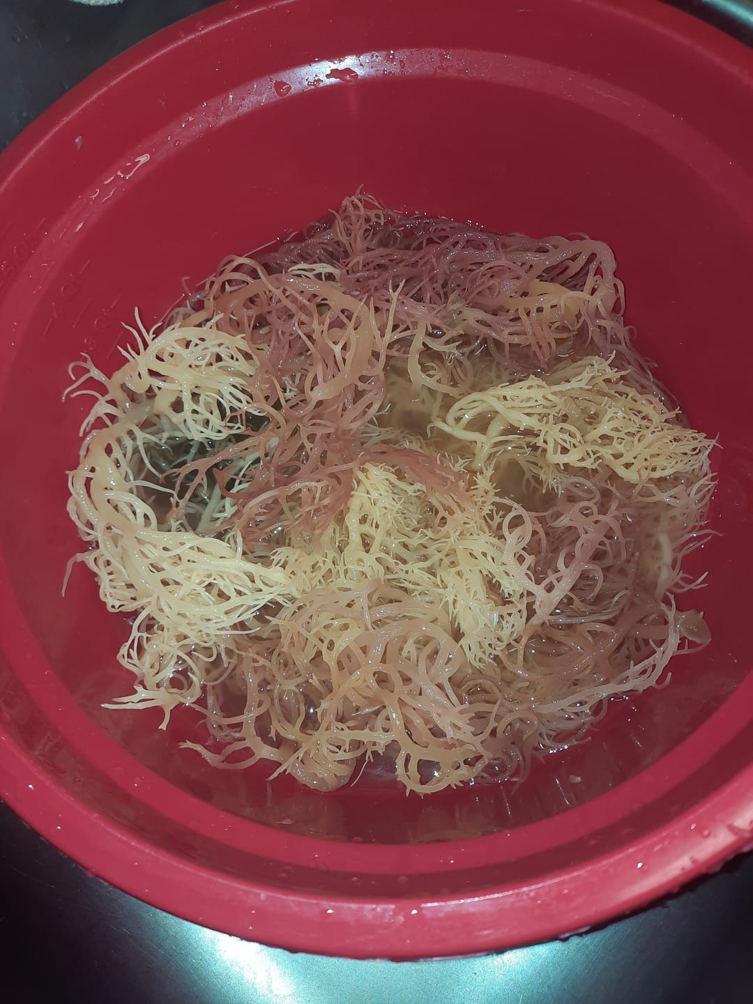 Customer photo review of Full Spectrum Irish Sea moss