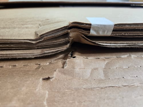 Customer photo review of 12x18 Photo Prints