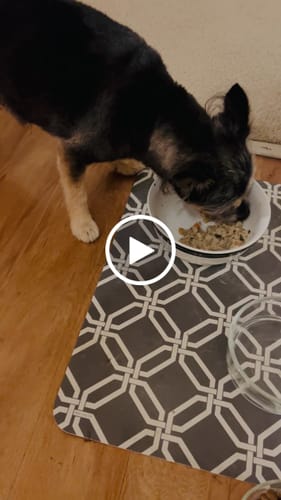 Customer video review of *PREORDER - SHIPS LATE AUGUST* Variety Pack