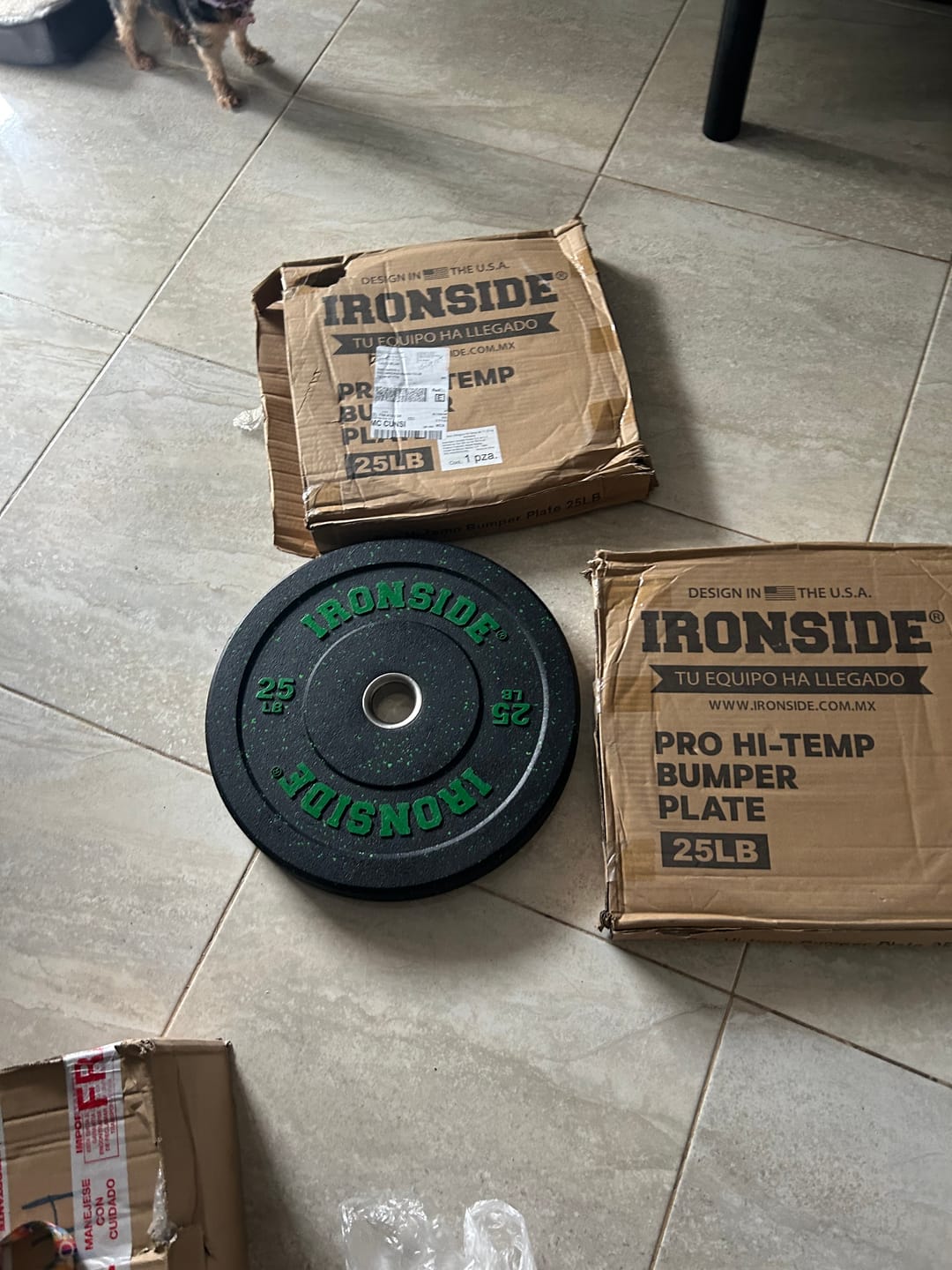 Customer photo review of Discos Hi-Temp IRONSIDE 10 - 45 LB