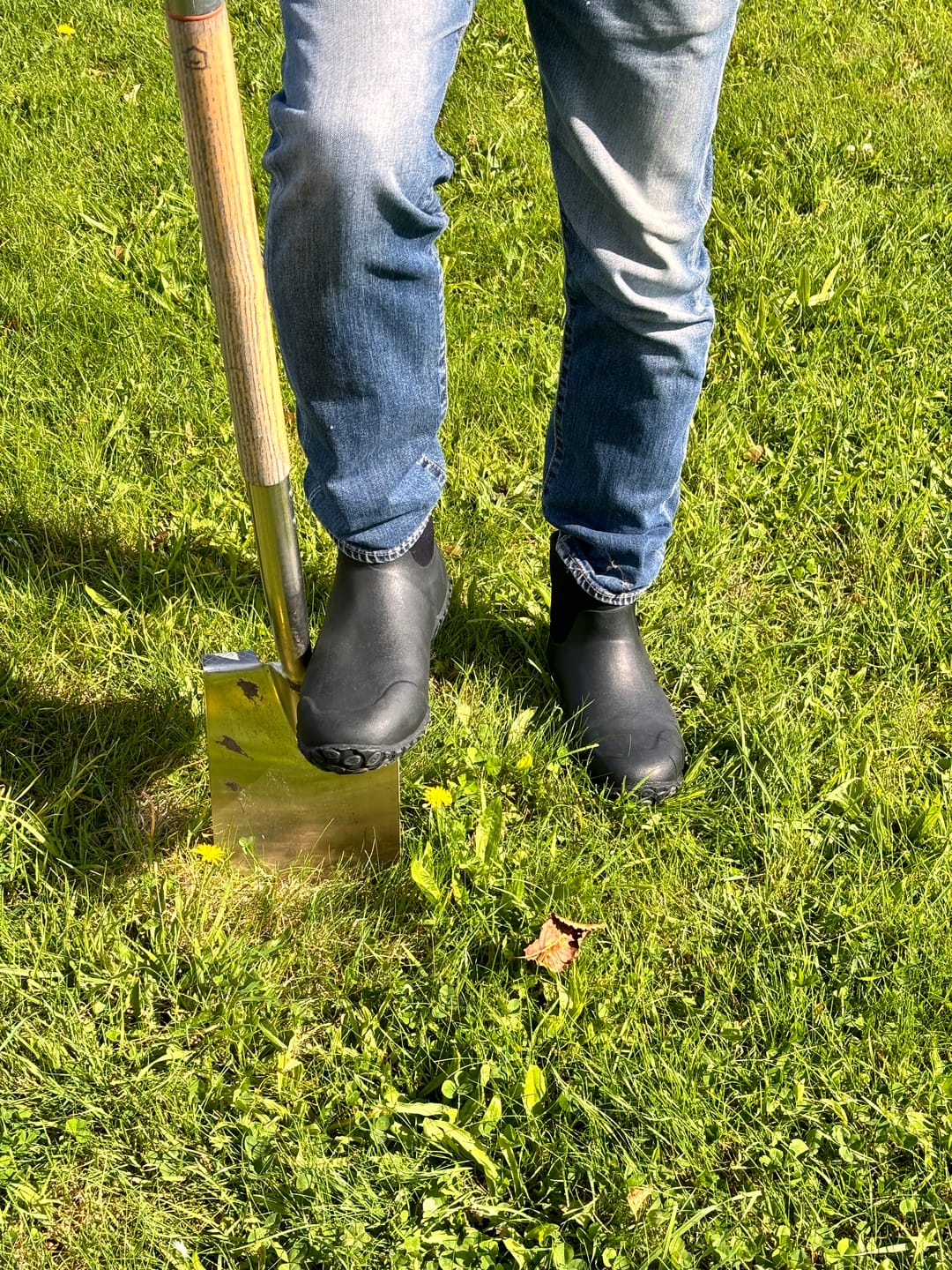Customer photo review of Men's RHS Muckster II Ankle Boots