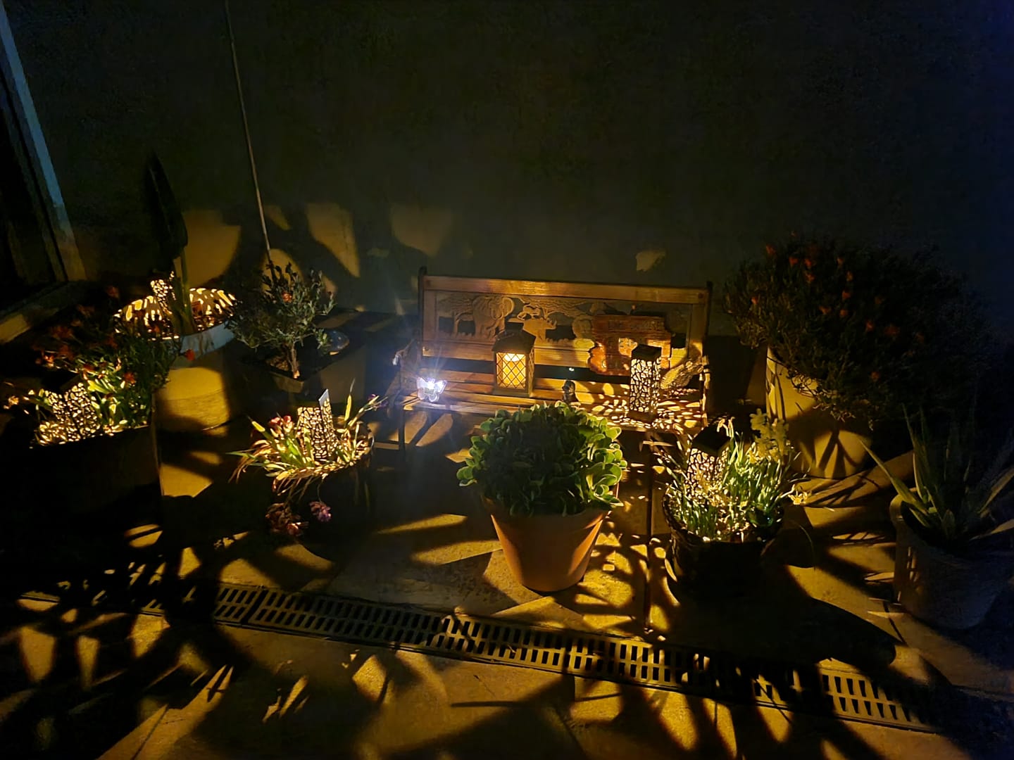 Customer photo review of SolaGarden™ Pattern Light Pack