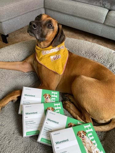 Customer photo review of Wurmtest Pro Hund Jahrespaket