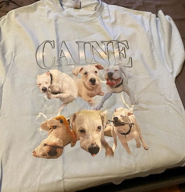 Customer photo review of Custom Vintage Tee