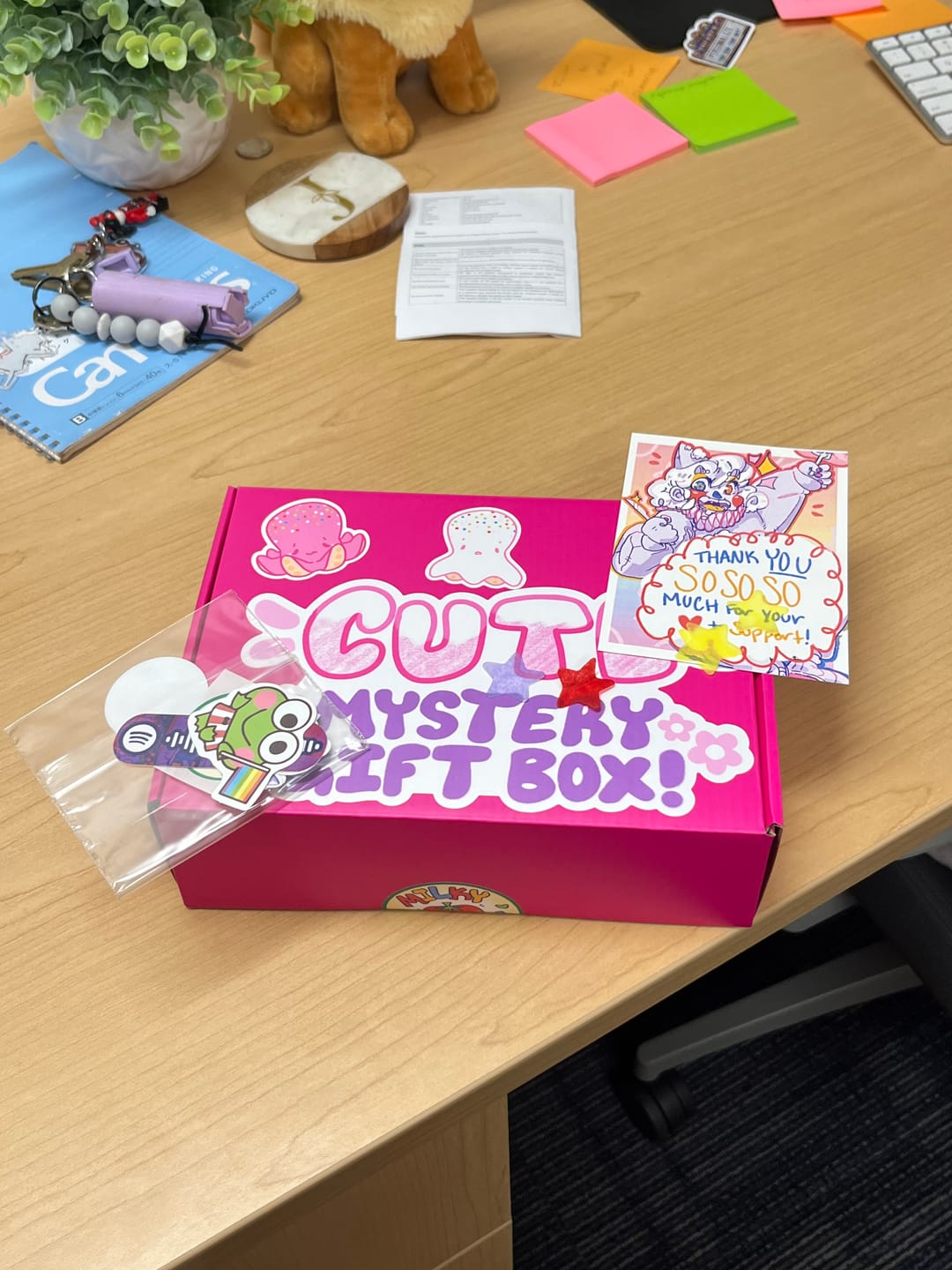 Customer photo review of Cute Mystery Gift Box