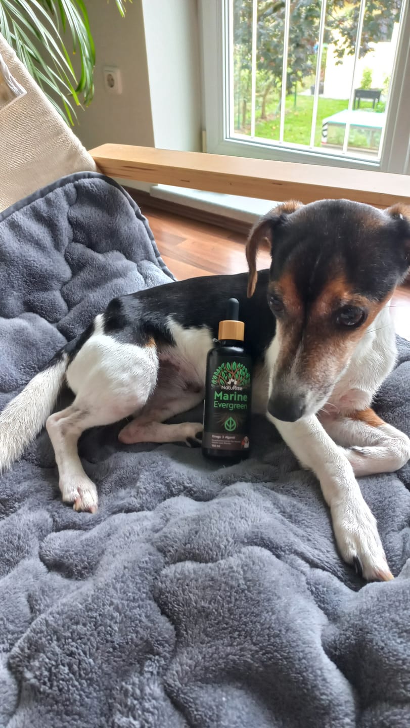 Customer photo review of Omega 3 Algenöl Haustiere