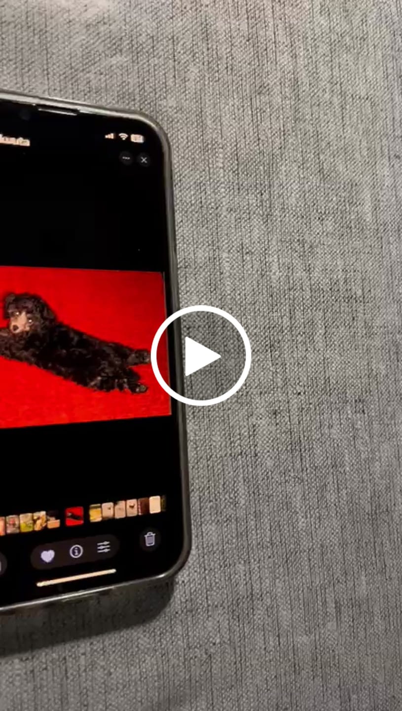 Customer video review of Apple iPhone Riite Panssarilasi - Asennuskehikolla, Privacy