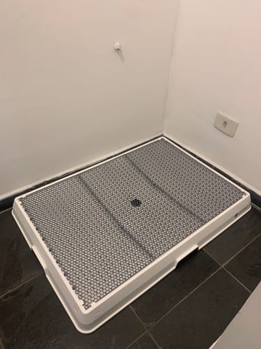 Customer photo review of Weasy Cão