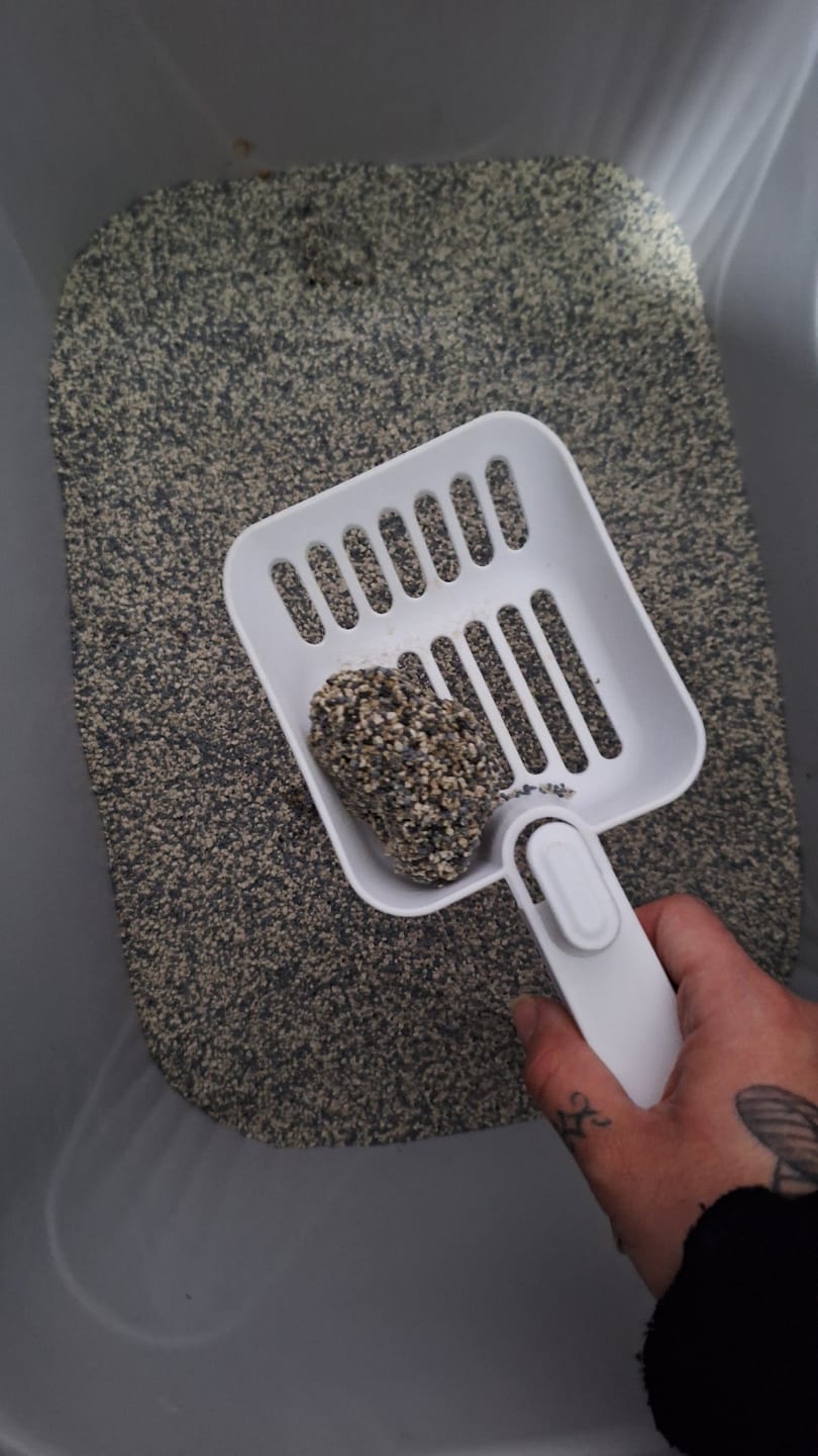 Customer photo review of Arena Minino 24kg - Carbón Activado [Nueva]
