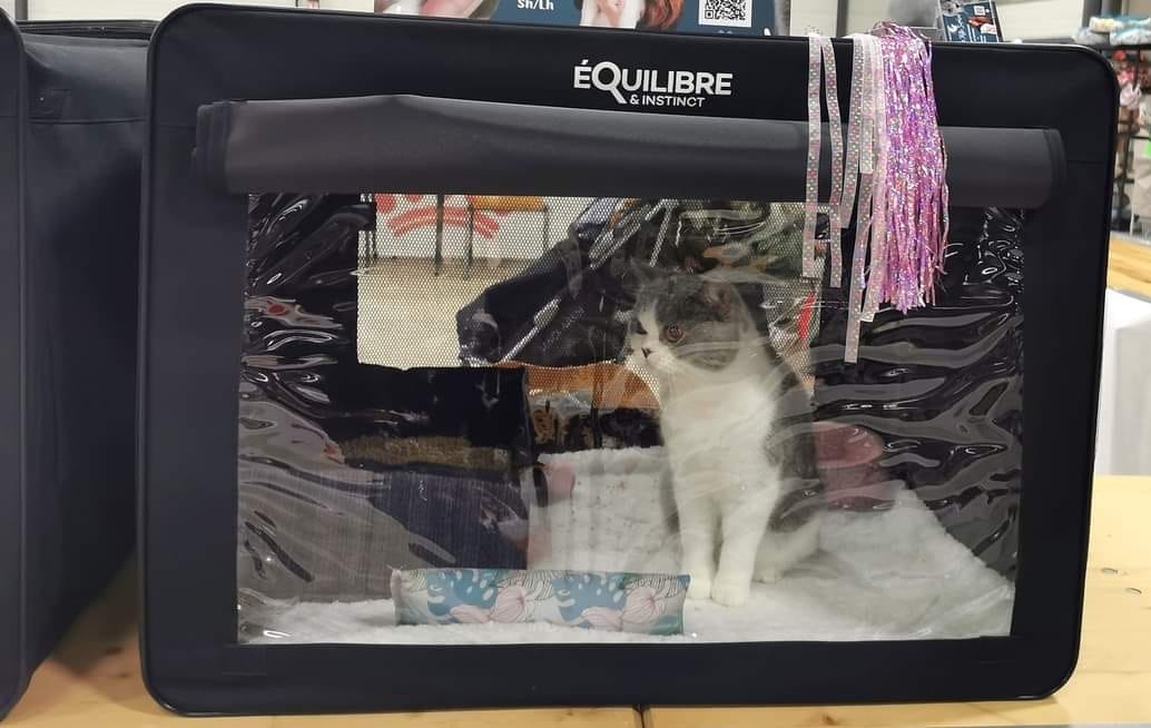 Customer photo review of Cage de transport pliable (chat)