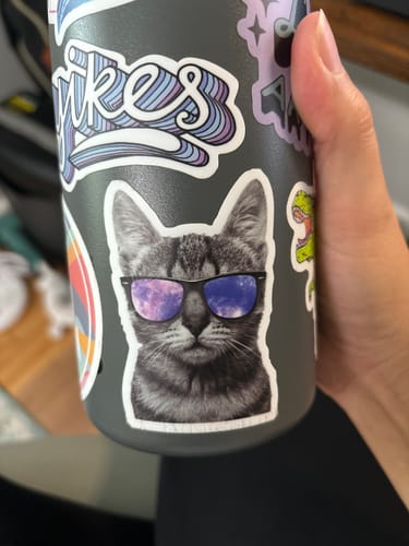 Customer photo review of Cat Sunglasses Sticker