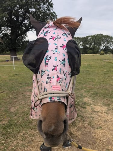 Customer photo review of Panda Pals Fly Mask