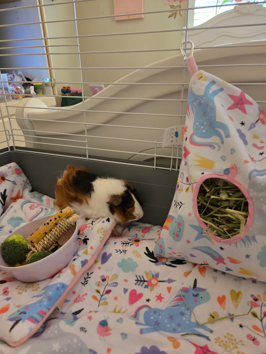 Customer photo review of Homely Fleece Hidey | Unicorn