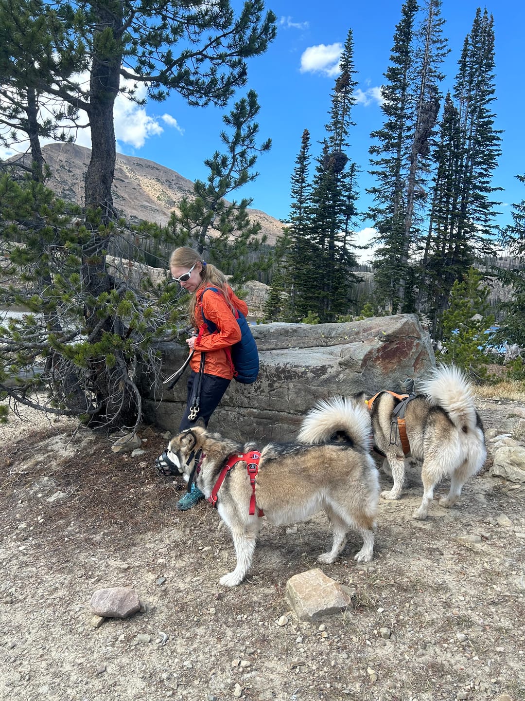 Customer photo review of The Mayfly 14L Cooler