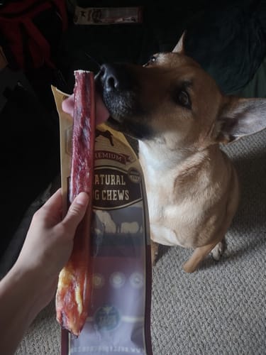 Customer photo review of 12 Inch Monster Bully Stick