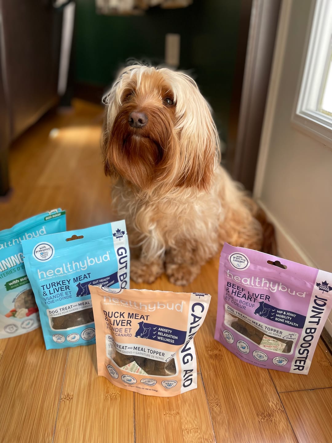 Customer photo review of Beef Mini Training Treats