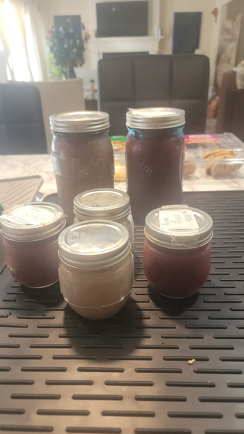 Customer photo review of PREMIUM RAW SEA MOSS