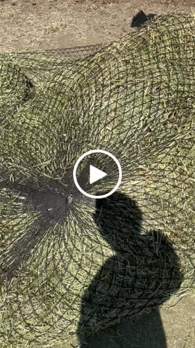 Customer video review of Hay Chix® Large Bale Net - 6'