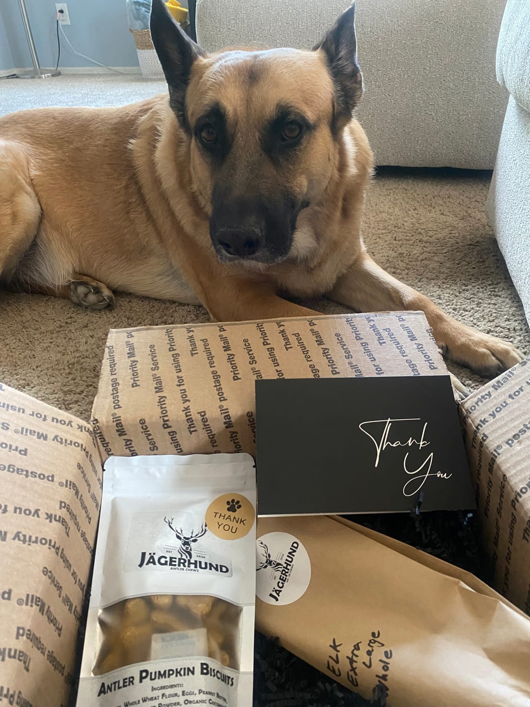 Customer photo review of Extra Large Elk Chew