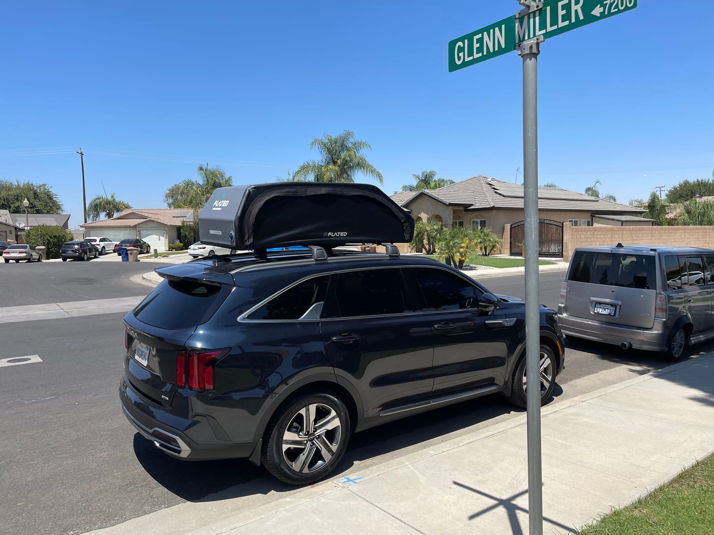 Customer photo review of LARGE CARRIER23