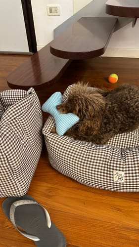 Customer photo review of Gioco Osso