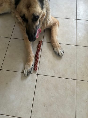 Customer photo review of 12 Inch Standard Braided Bully Stick