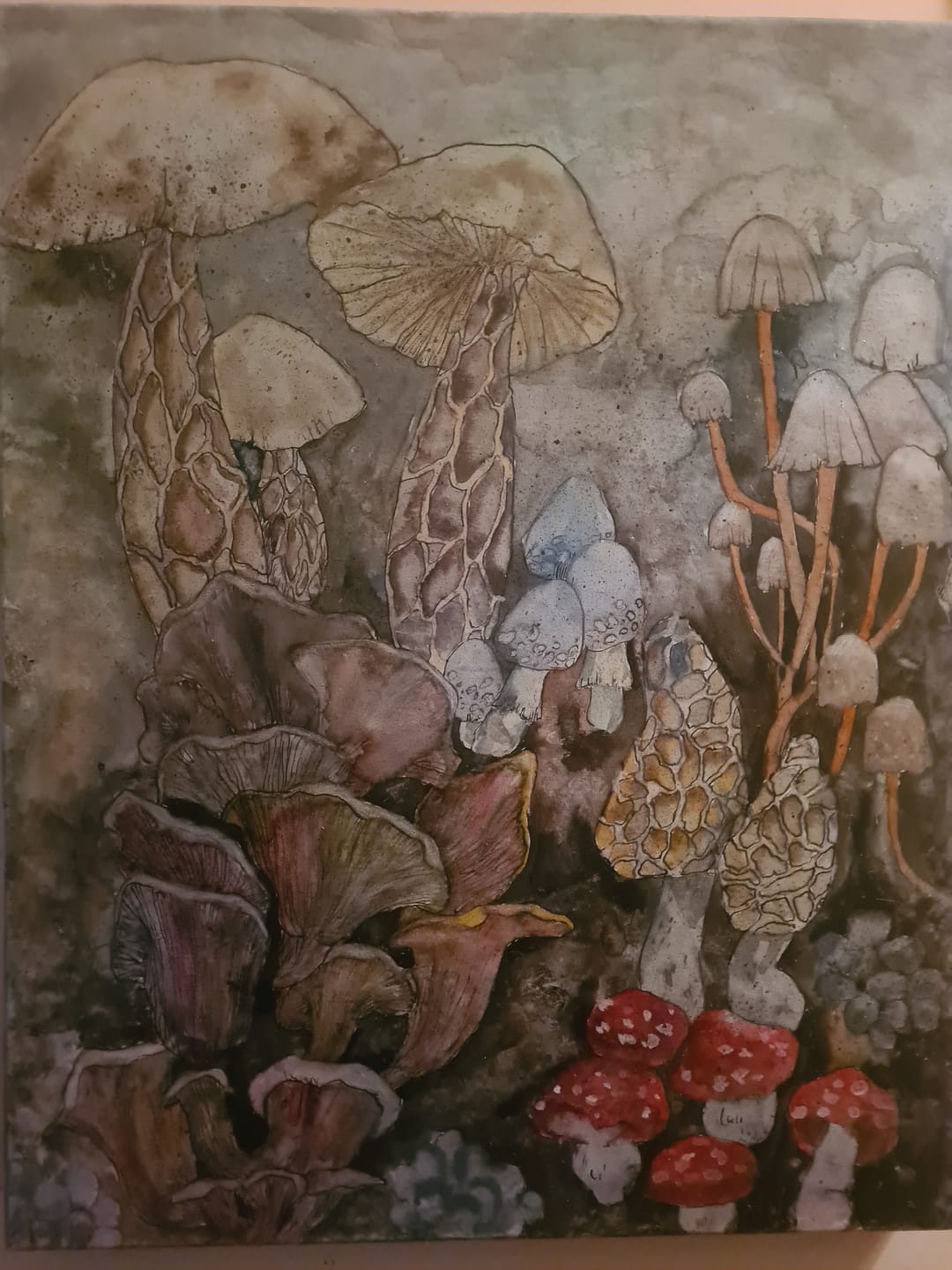 Customer photo review of Skrim Aquarelle