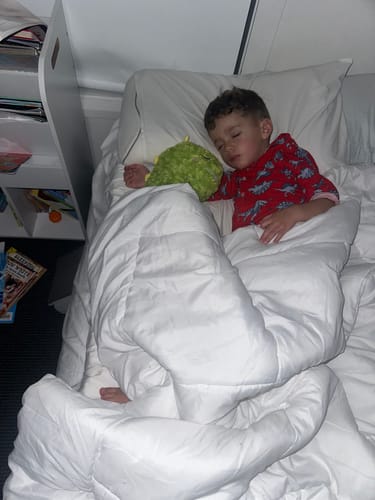 Customer photo review of The Breathing Dinosaur