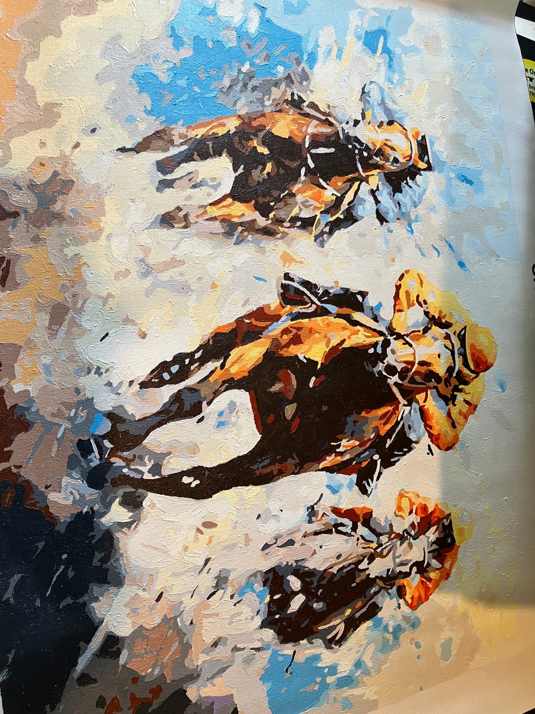 Customer photo review of Vivid Horses Racing