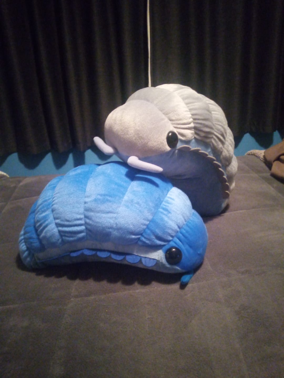 Customer photo review of Isopod Plushie (2 COLORS, 2 SIZES)
