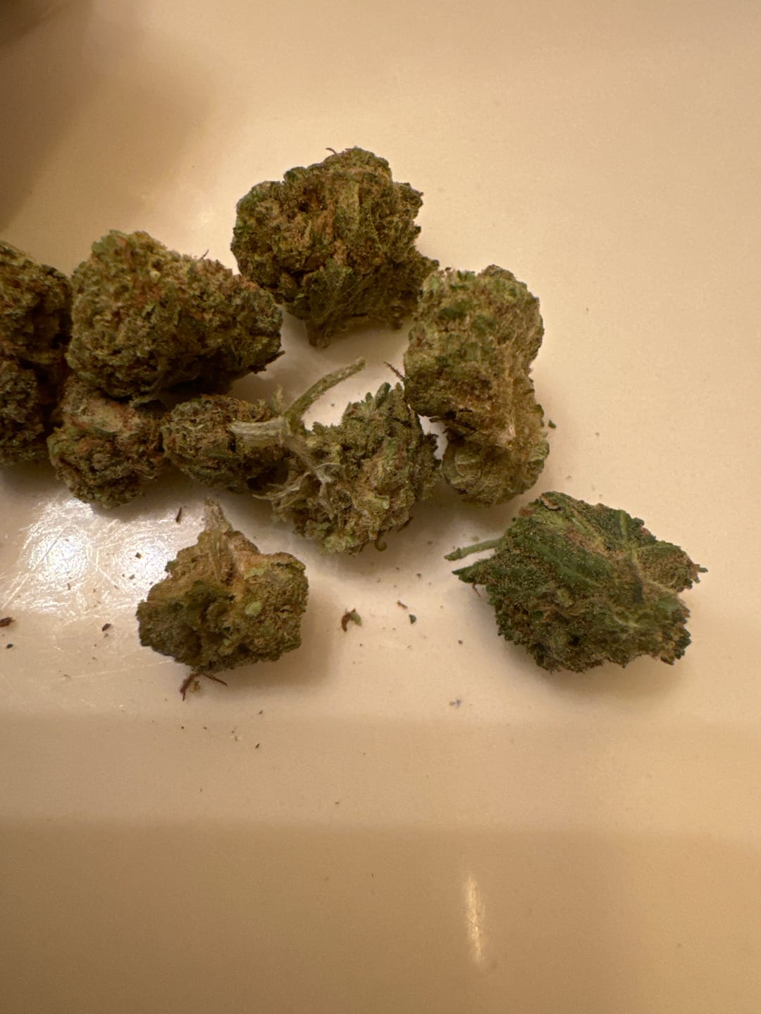 Customer photo review of Exotic Micros