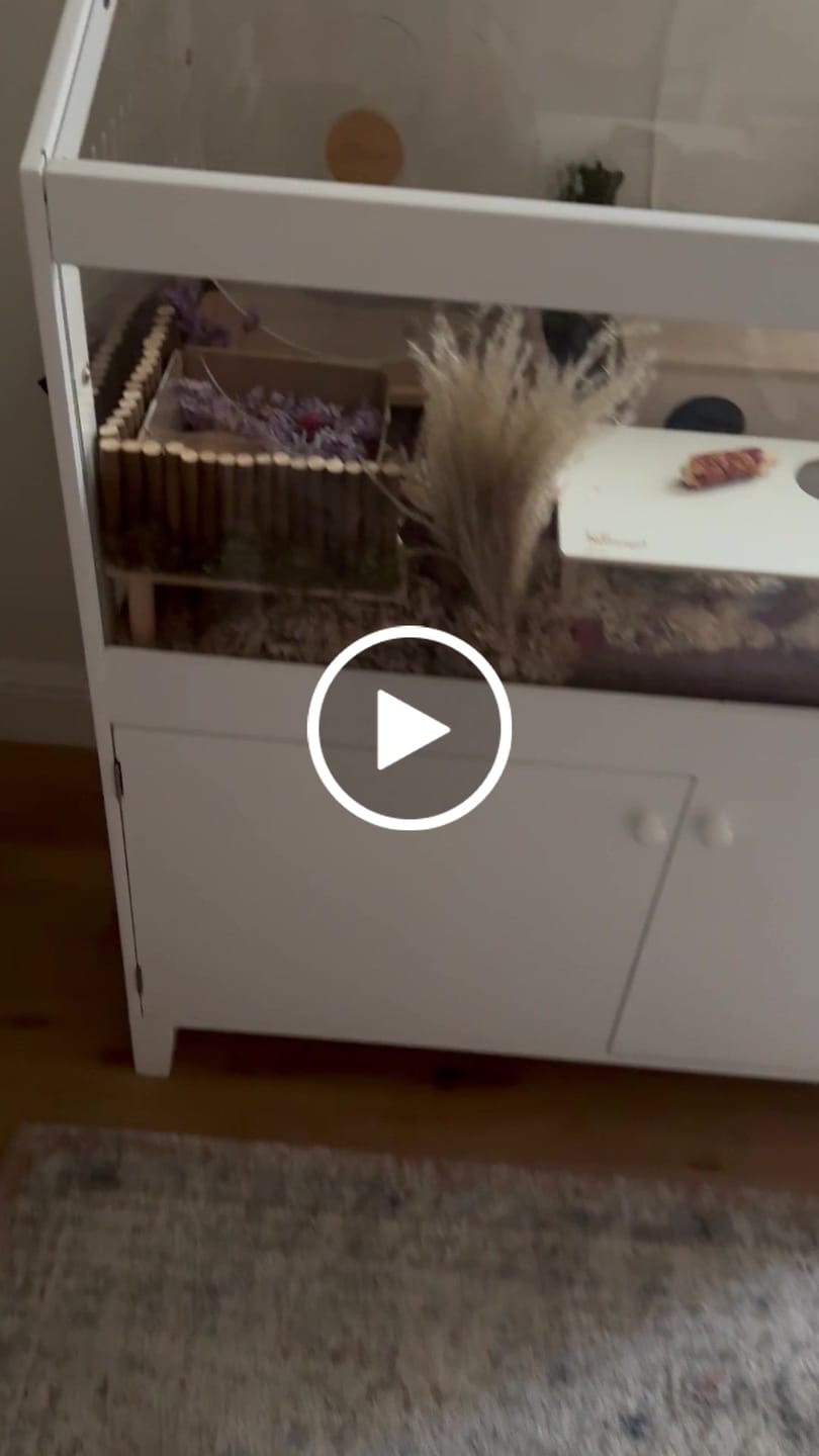 Customer video review of Niteangel Small Animal Sand-Bath Box - Acrylic Critter's Sand Bath Shower Room & Digging Sand Container for Hamsters Mice Lemming Gerbils or Other Small Pets