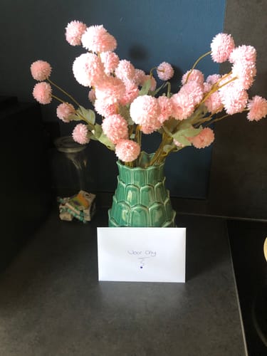 Fotorecensie van een klant over Zijden Kiku Bloemen - Roze