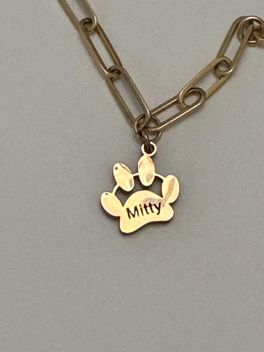 Customer photo review of Personalized Paw Print Name Necklace