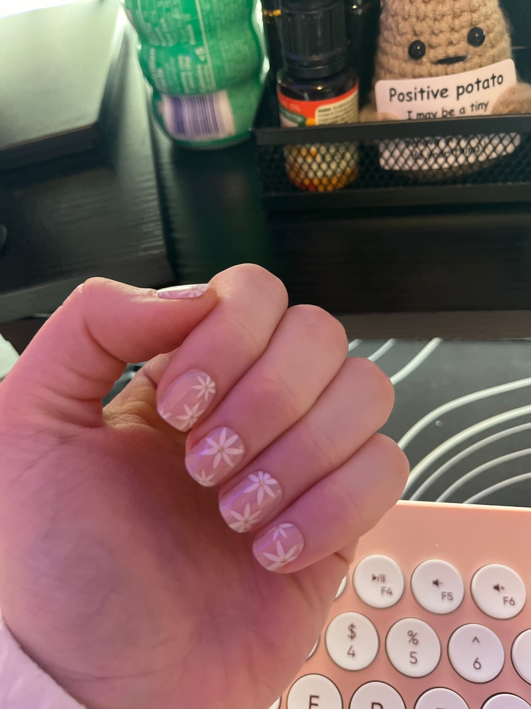 Customer photo review of Pretty Pink Daisies DIY Semicured Gel Nail Sticker Kit