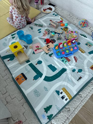 Customer photo review of Woodland Train Cover · Maxi