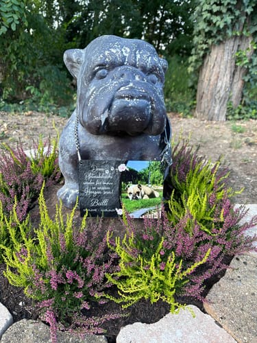 Customer photo review of Hunde Gedenktafel mit Foto & Spruch (UV- & Wetterfest)