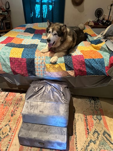 Customer photo review of PaWz Detachable Pet Stairs Grey