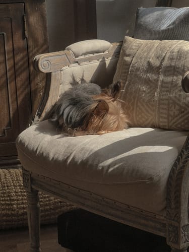 Customer photo review of OLD MONEY STYLE LIGHTROOM PRESETS