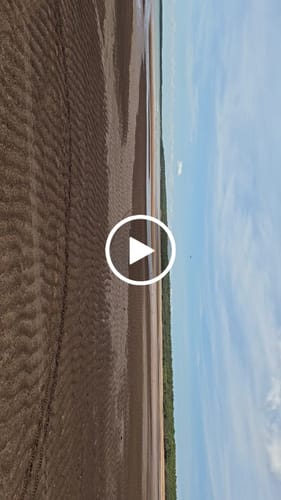 Customer video review of Aeroo Pro