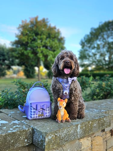 Customer photo review of Disney© Dog Walking Backpack - Bambi