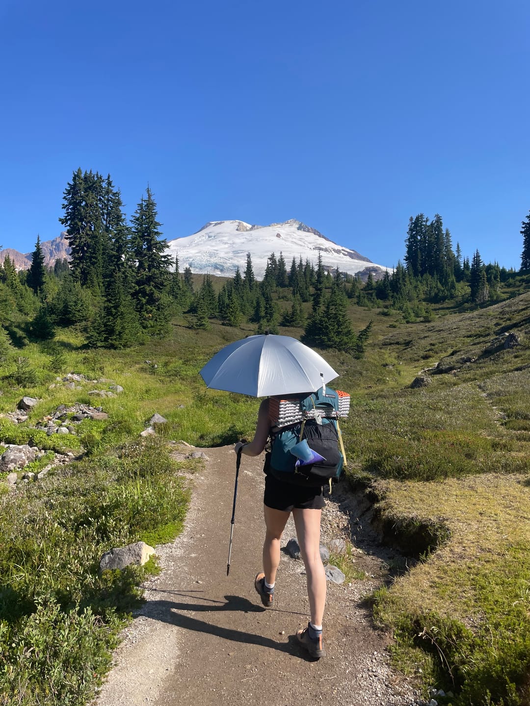 Customer photo review of Lightrek Hiking Umbrella