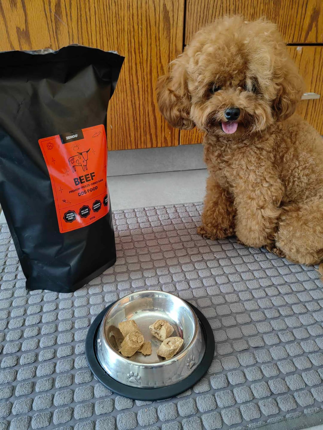 Customer photo review of Natural & Balanced Beef Recipe