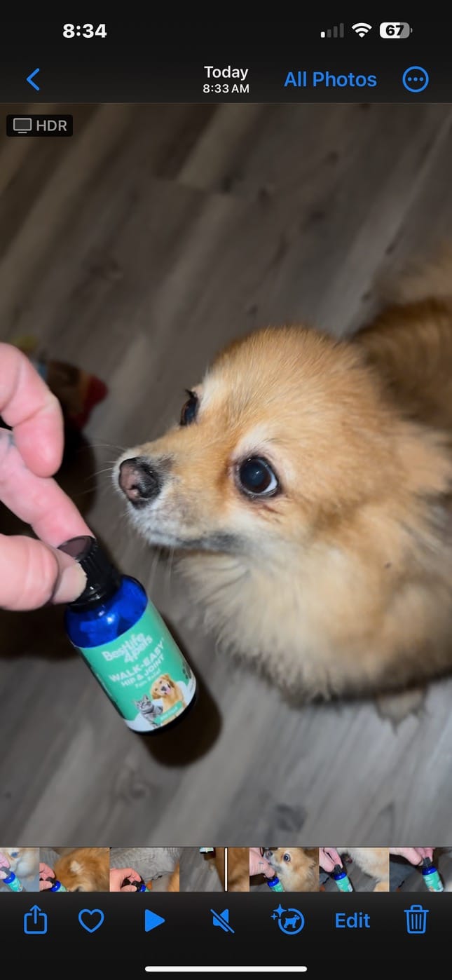 Customer photo review of WALK-EASY® Joint and Hip Pain Relief for Dogs and Cats - Helps Arthritis, Torn Ligament and Other Joint Conditions