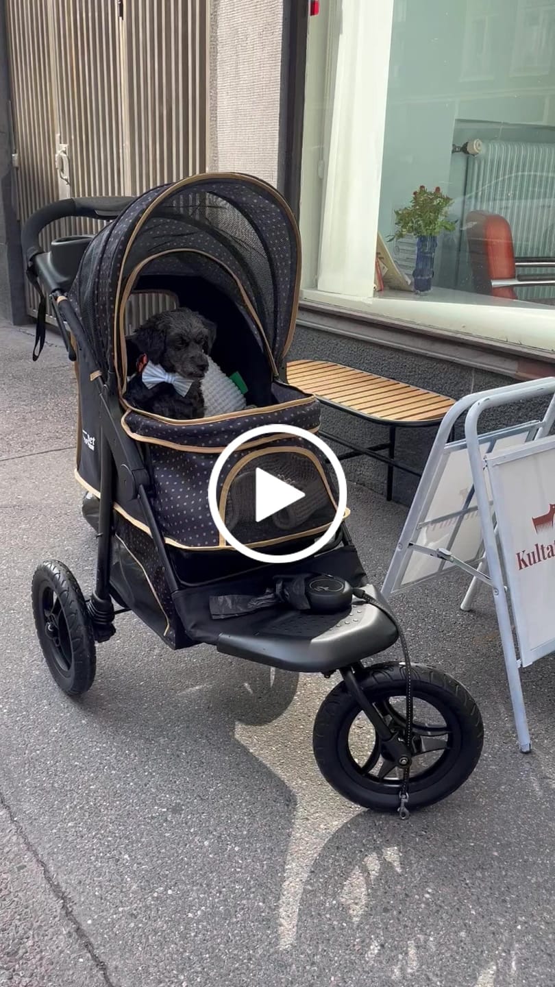 Customer video review of Adventure lemmikkirattaat